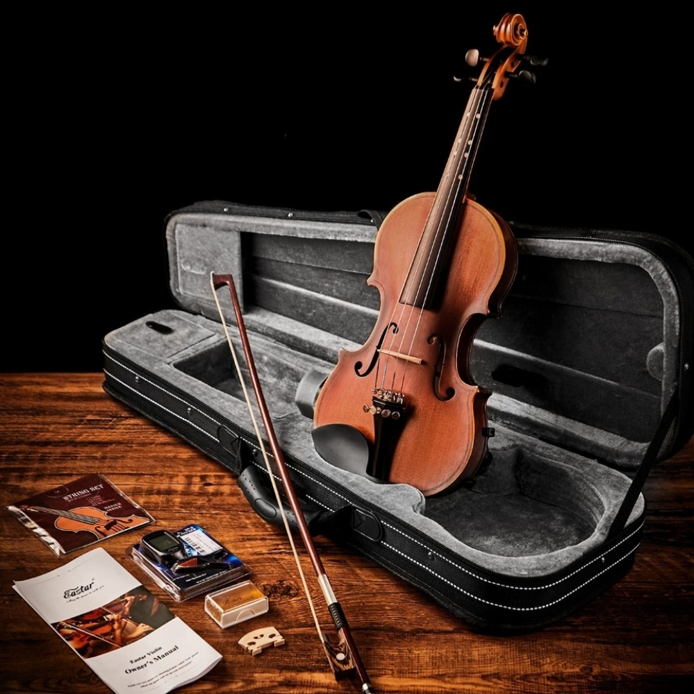 4/4 violin NEW